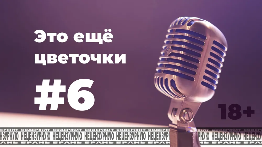 pmmd #6