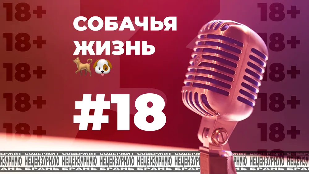 pmmd #18